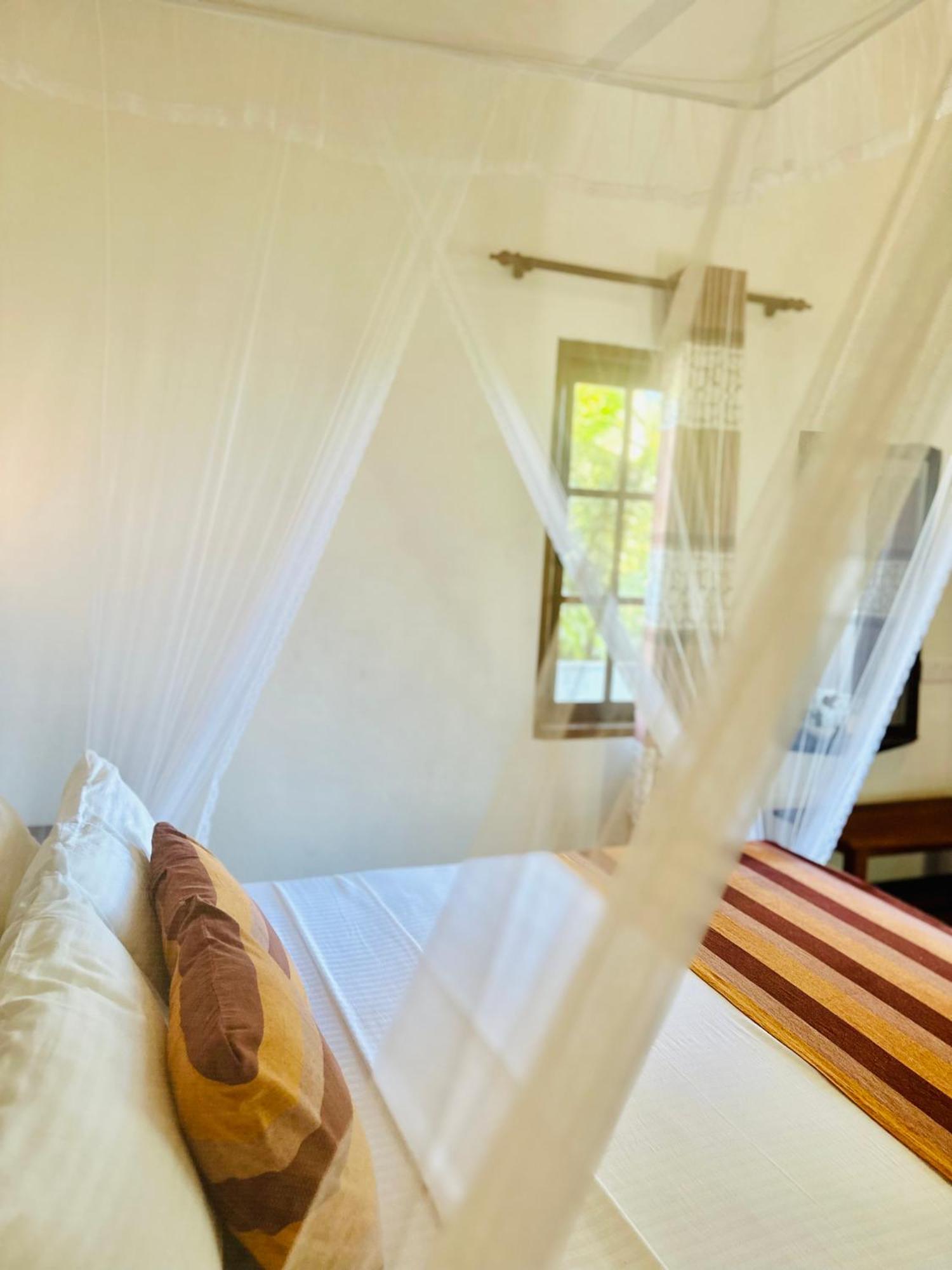 Ella Festoon Apartment Ngoại thất bức ảnh